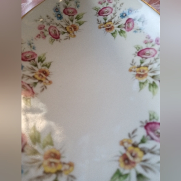 Vintage Porcelain Oval serving Dish Gerold Porzellan Tellau Bavaria Germany - Picture 12 of 13